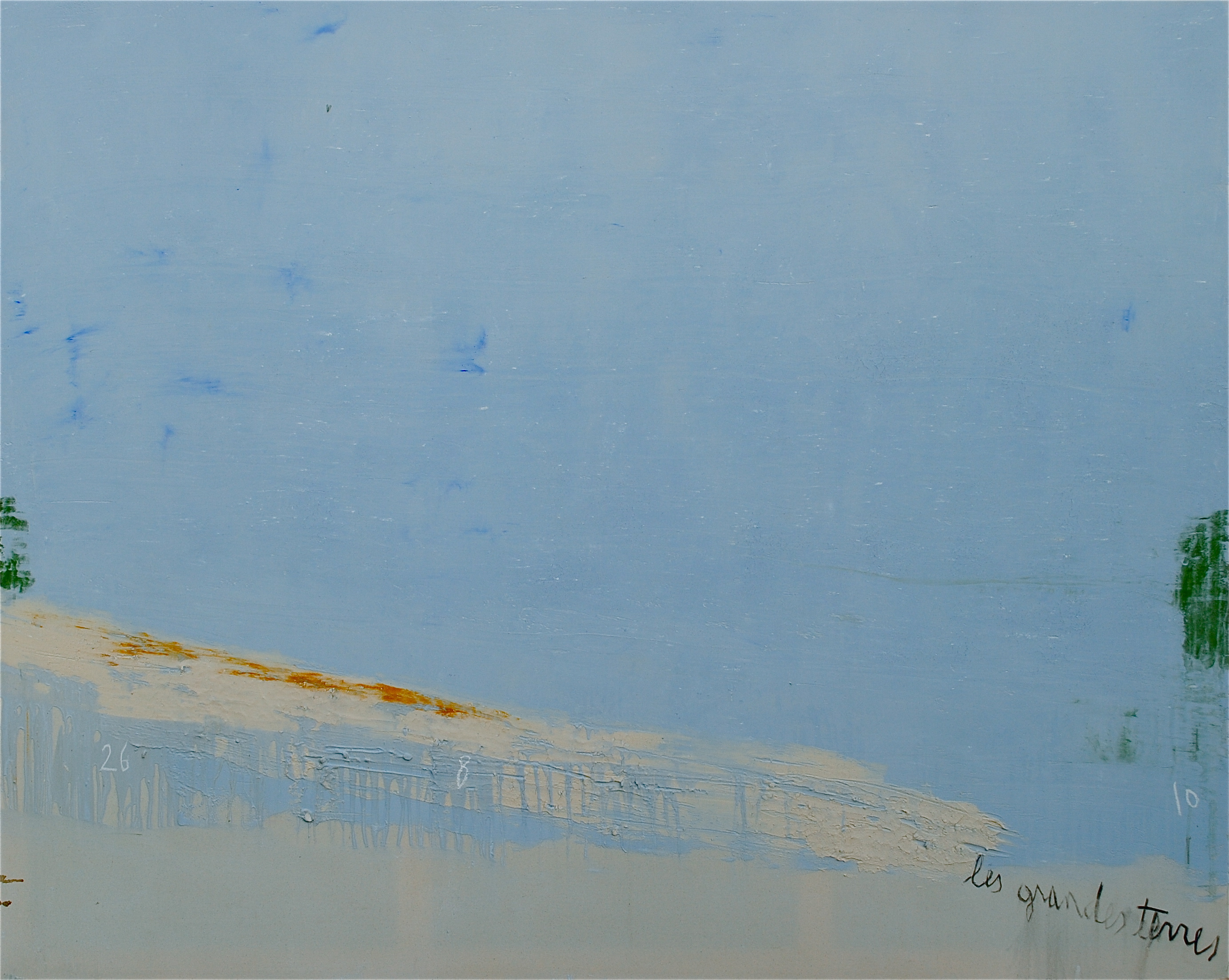 Jean-Pierre Schneider, Le vif du sujet : la Loire, 2010,  acryl et pigments sur toile, 200 x 250 cm